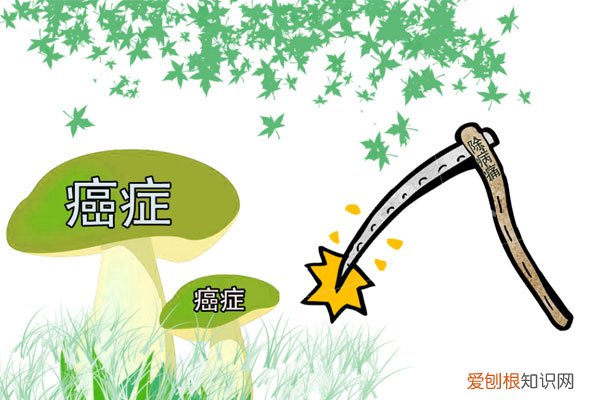 为啥有人说喝茶不养生 喝茶水对身体有什么好处和坏处