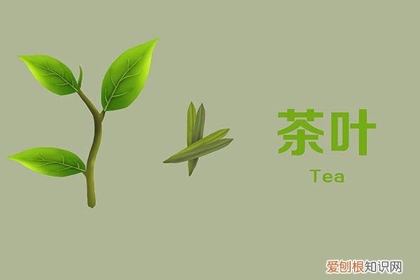 为啥有人说喝茶不养生 喝茶水对身体有什么好处和坏处