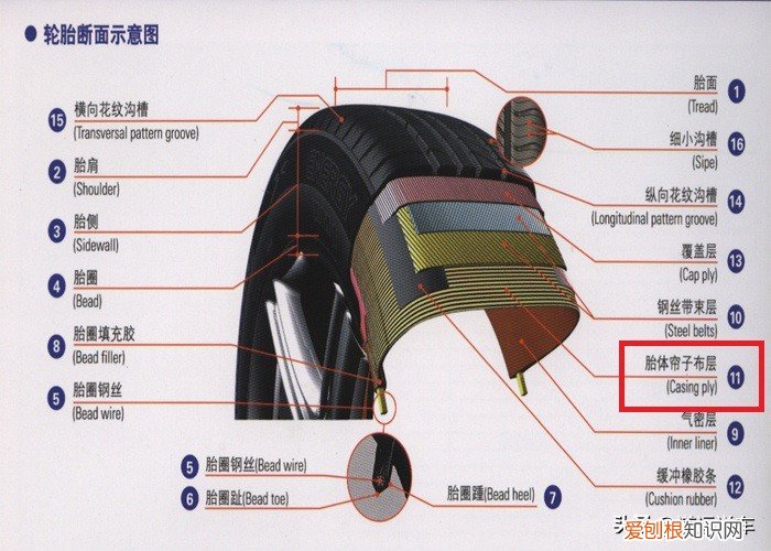一文教你认清楚 轮胎规格参数解释