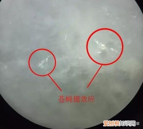 怎样鉴别翡翠？拥有这5个特征的翡翠才是天然A货