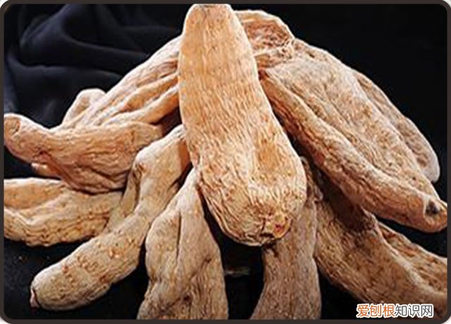 天麻的禁忌要知道 天麻有6种人不能吃