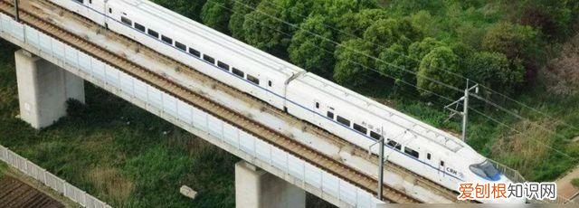 动车可以带肉类吗,动车可以带干鱼干和点心