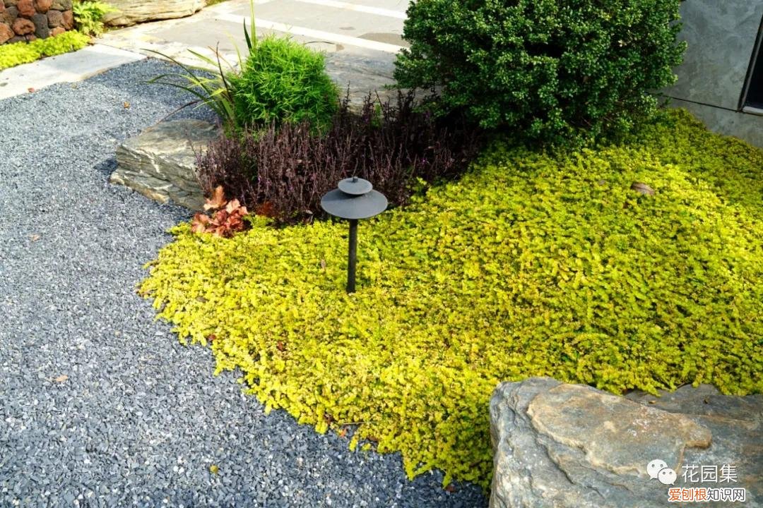 一坪等于多少平方米？为3.3平方米