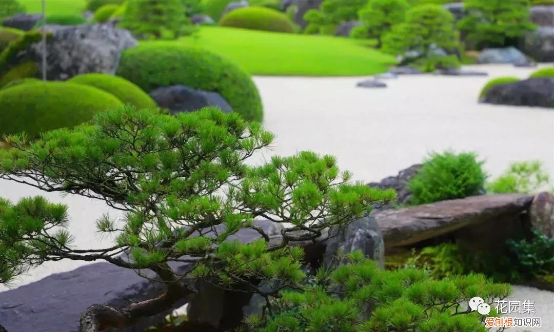 一坪等于多少平方米？为3.3平方米