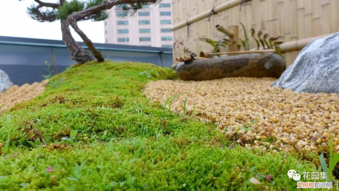 一坪等于多少平方米？为3.3平方米