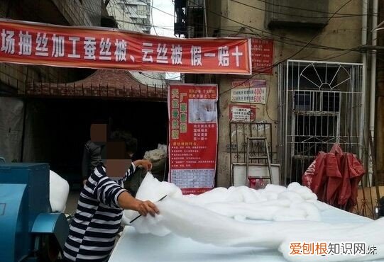 如何鉴别蚕丝的真假? 蚕丝被要多少钱