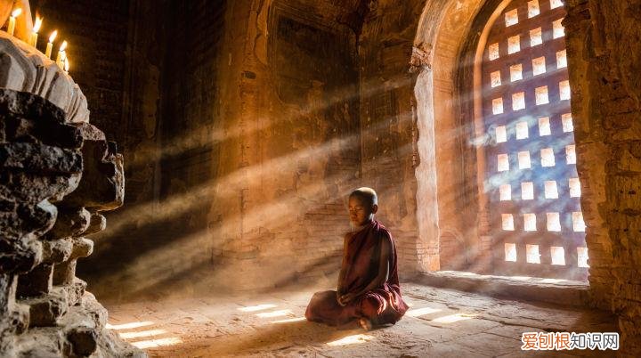 活人木乃伊有多痛苦?揭秘日本奇葩木乃伊风俗