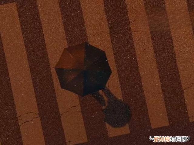 电视剧一闪一闪亮星星男主 张万森是什么剧