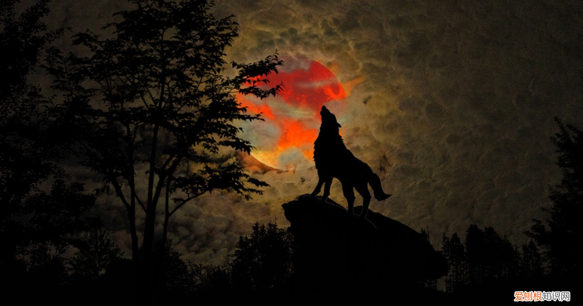 真的像老人说的不祥之兆吗 血月为什么不能看