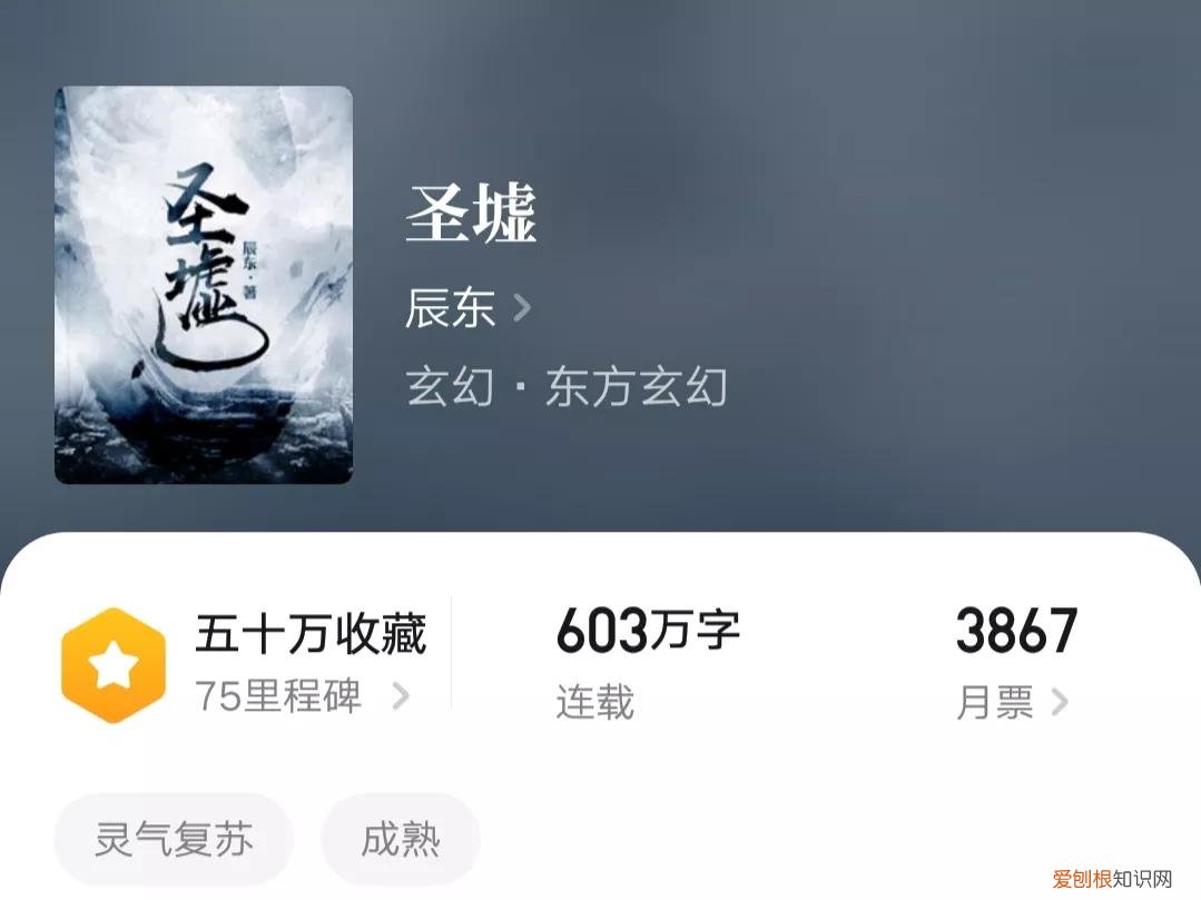 柳神让石昊记住一个姓叶的是谁？柳神让石昊记住的人就是叶凡