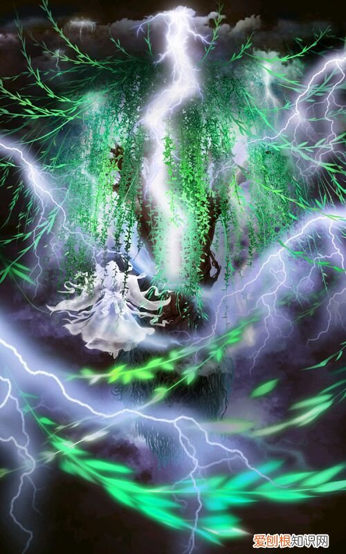 柳神让石昊记住一个姓叶的是谁？柳神让石昊记住的人就是叶凡