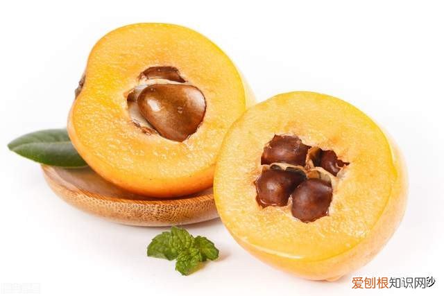 枇杷是凉性的还是热性的？中医认为枇杷性凉