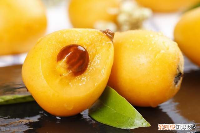 枇杷是凉性的还是热性的？中医认为枇杷性凉