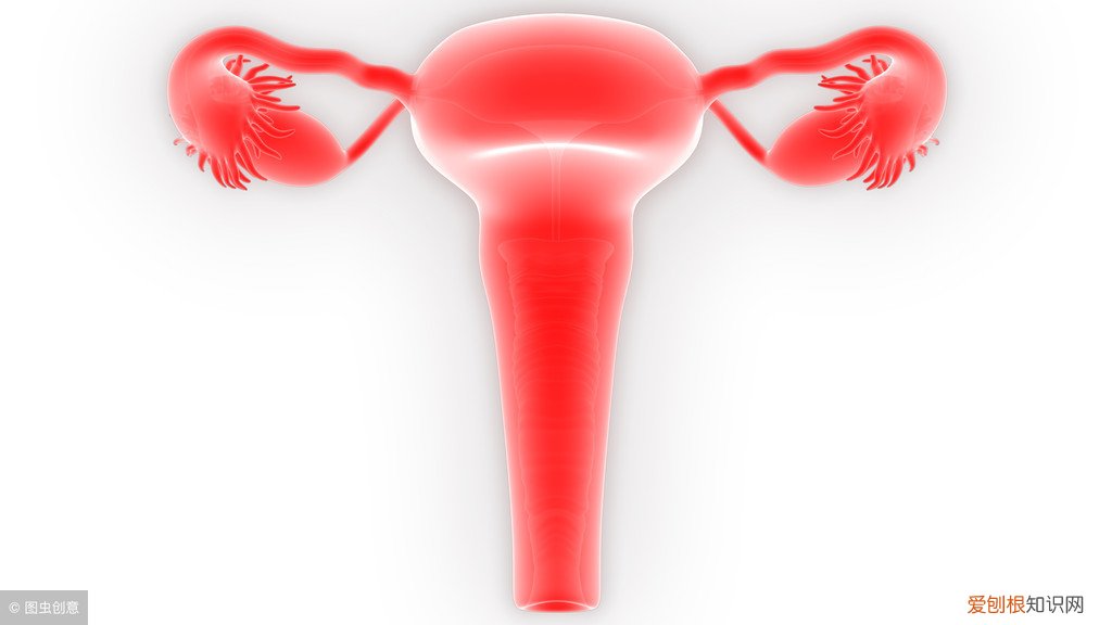 检查报告怎么看?这回都告诉你 tct检查是什么