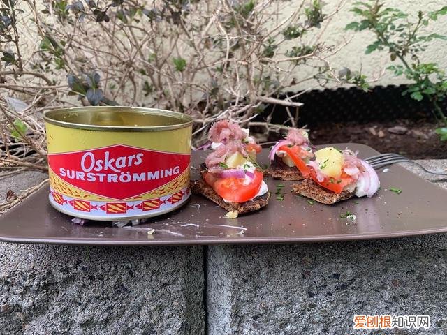 是鲱鱼本身难闻还是故意加工？ 鲱鱼罐头为什么这么臭