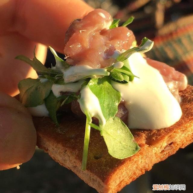 是鲱鱼本身难闻还是故意加工？ 鲱鱼罐头为什么这么臭