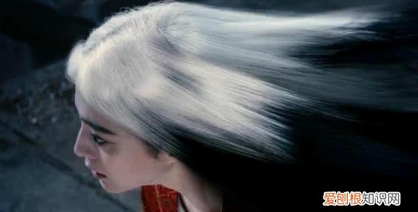 一夜白头是真的吗？压力过大会导致头发快速变白