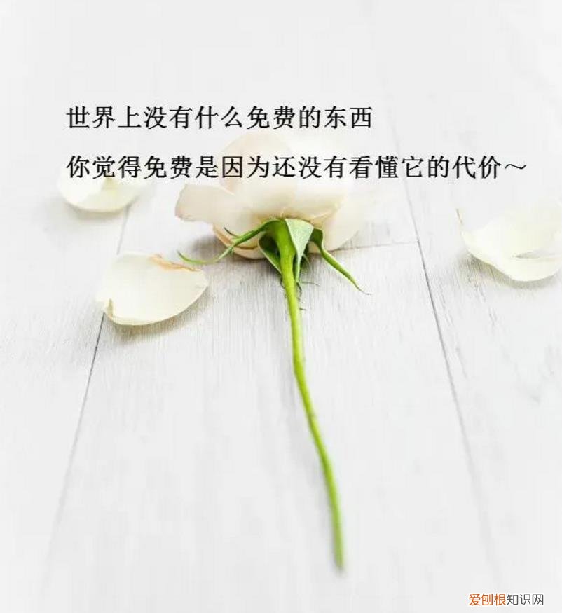 适合发朋友圈的精美心情短句 适合各种心情的句子