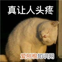 Word页眉横线怎么删?这里有4种删除方法!