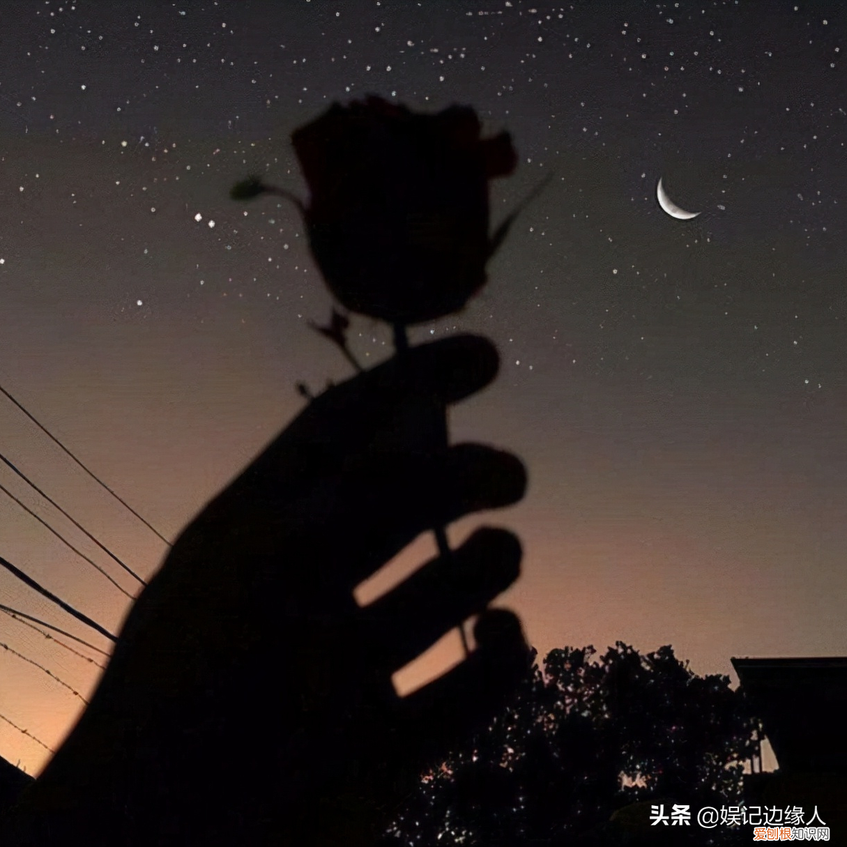 你都听过多少? 唐恬写过的所有歌