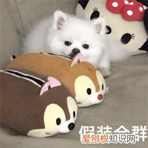 直接删?可别误会了 朋友圈一条横线一个点代表什么