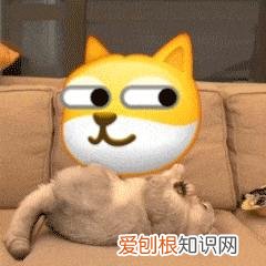 直接删?可别误会了 朋友圈一条横线一个点代表什么