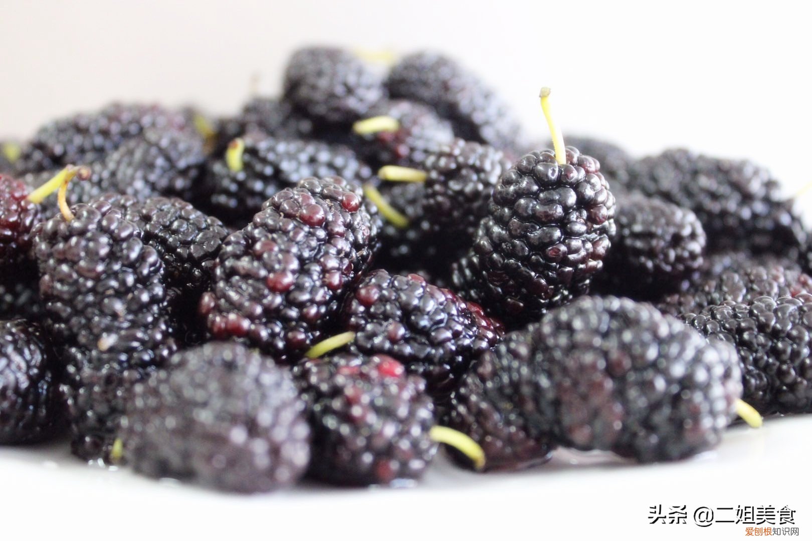 教您正确洗法 桑葚怎么洗才能干净