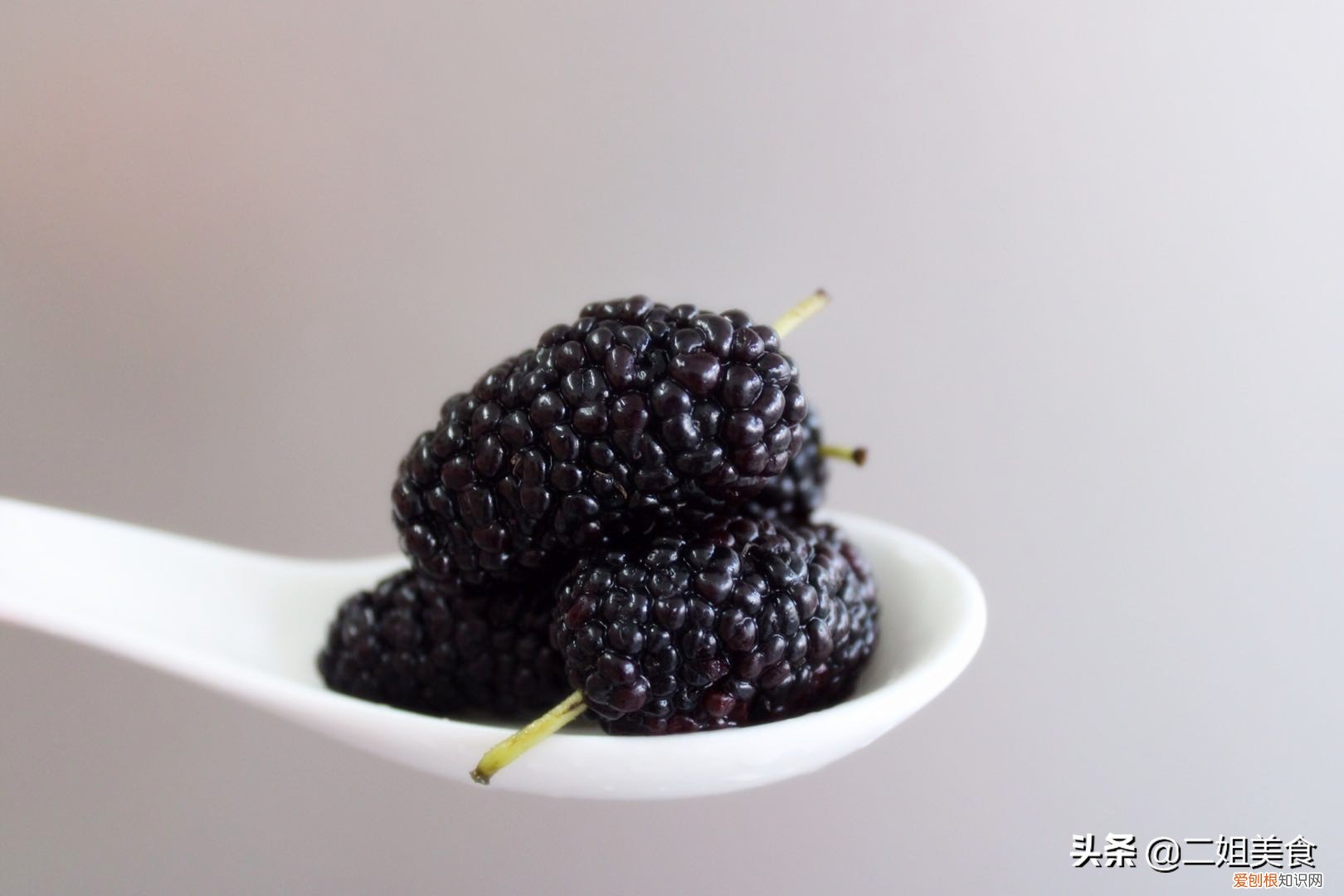 教您正确洗法 桑葚怎么洗才能干净