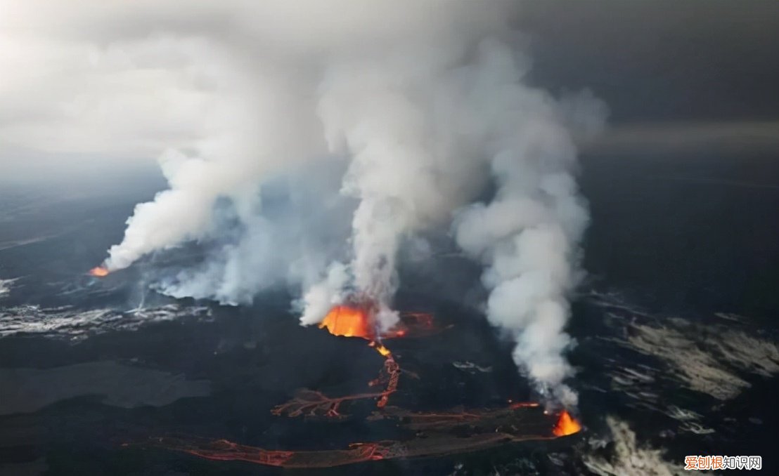 人类一共灭绝了几次？过去8万年，人类曾经历5次“大灭绝”