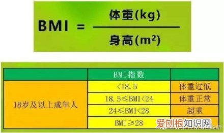 超过这个数就该减肥了 bmi正常值范围是多少
