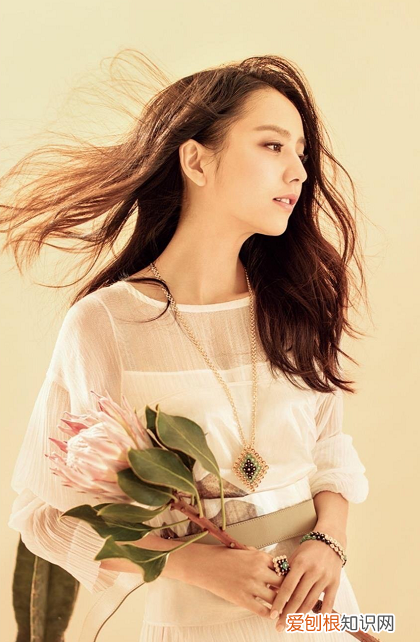 佟丽娅主持央视春晚是哪一年？2020年佟丽娅担纲主持人之一