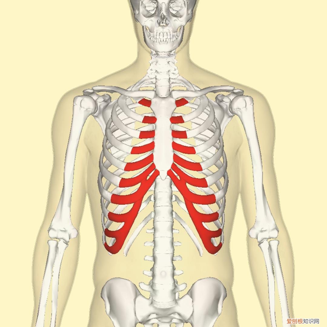 胸部痛疼是什么原因？引起胸痛常见的12种原因