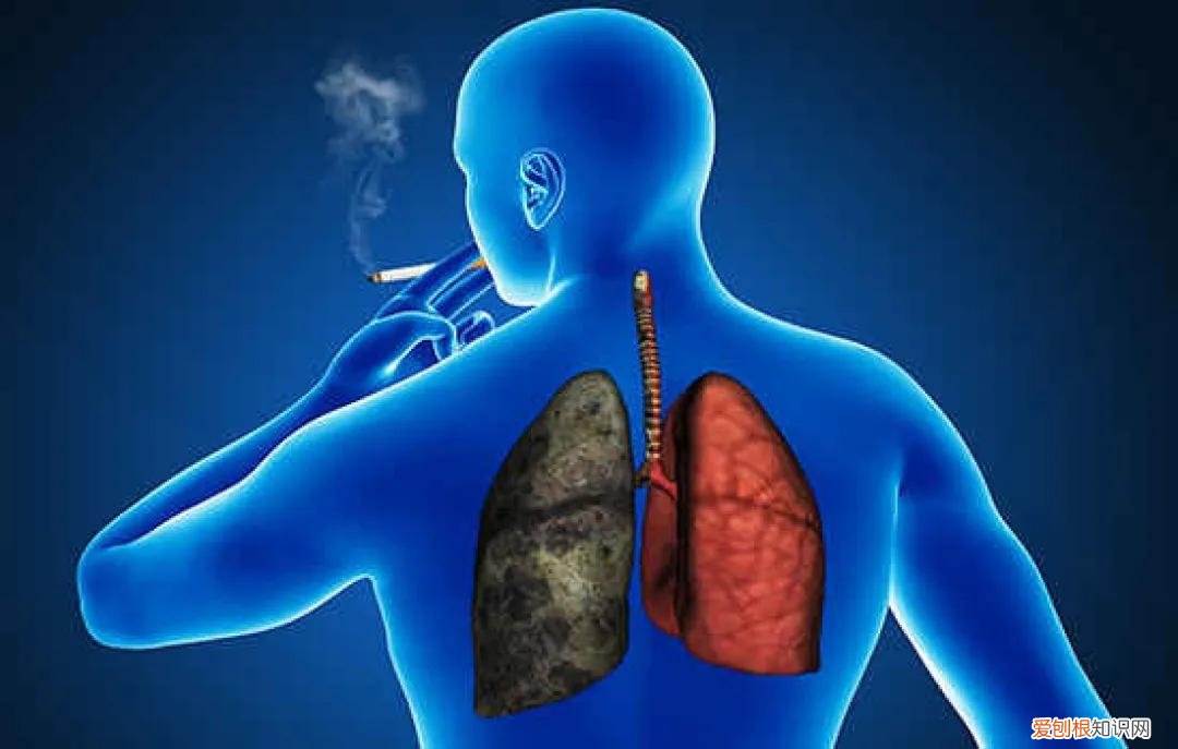 胸部痛疼是什么原因？引起胸痛常见的12种原因