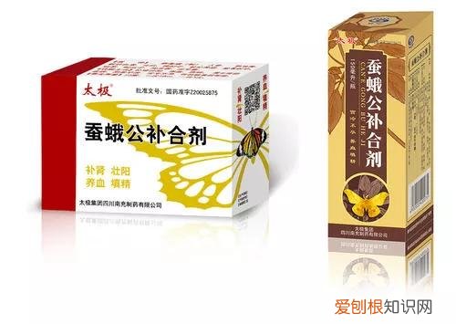 十大常用补肾壮阳中成药简介 补肾吃什么东西效果最好