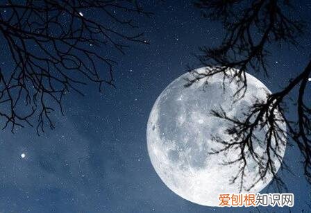 白月光是什么意思？白月光一词出自哪里