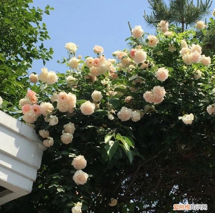 微信号改成什么比较有意义？分享40个好听、有韵味的微信号