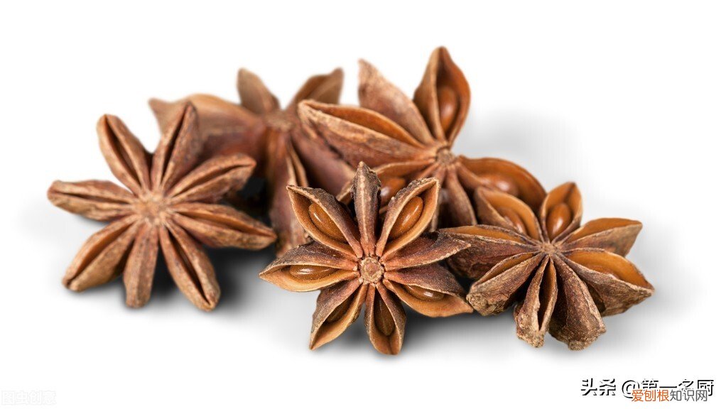 教你1招，排骨鲜嫩入味 排骨怎么炖才好吃呢又嫩又香呢