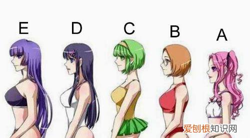 罩杯abcd怎么分大小？附：内衣胸罩罩杯尺寸说明表