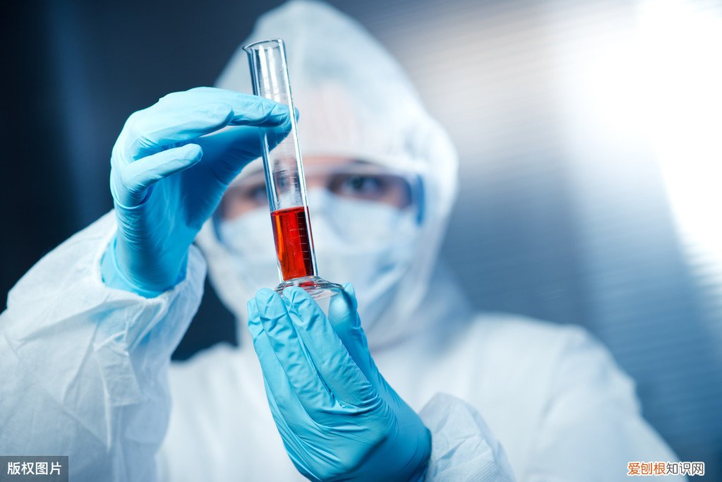 为何O型血免疫力更强? O型血有什么优点和缺点