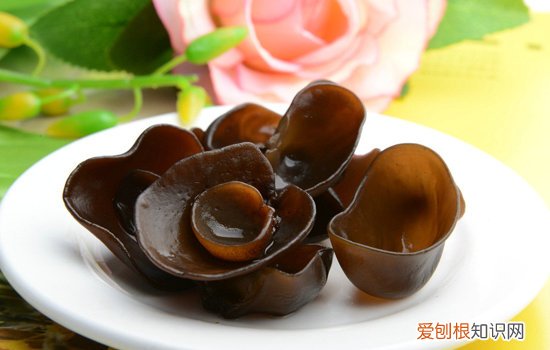 木耳泡多久就不能吃了？建议控制在4小时以内