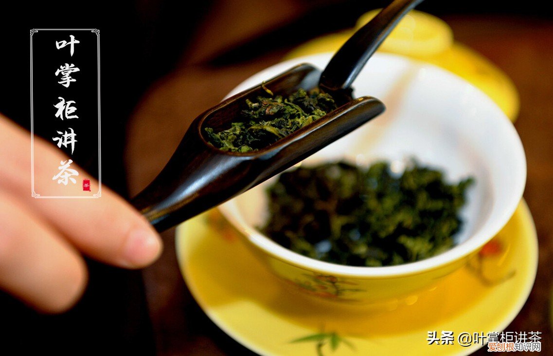 都有哪些特点，有什么独特的魅力 铁观音属于什么茶