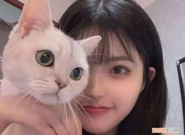 怎样追中年女人？教你几个高招，保证她会主动来找你