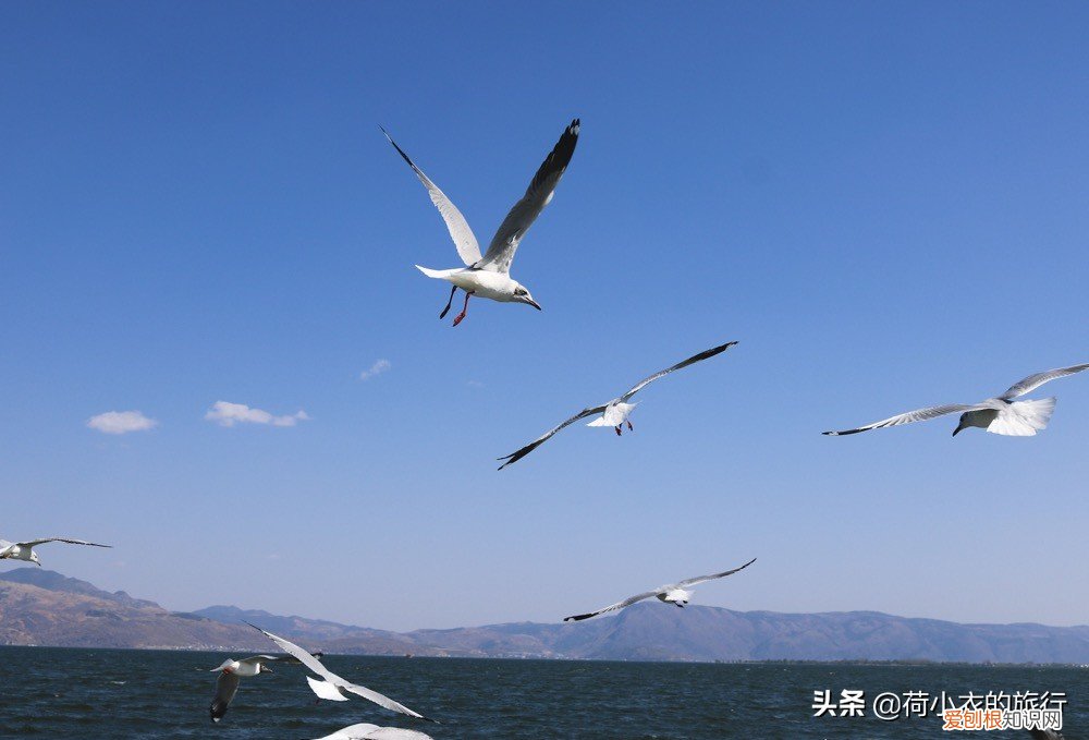 这3座城市风景宜人，适合度假养老 旅游最适合的城市