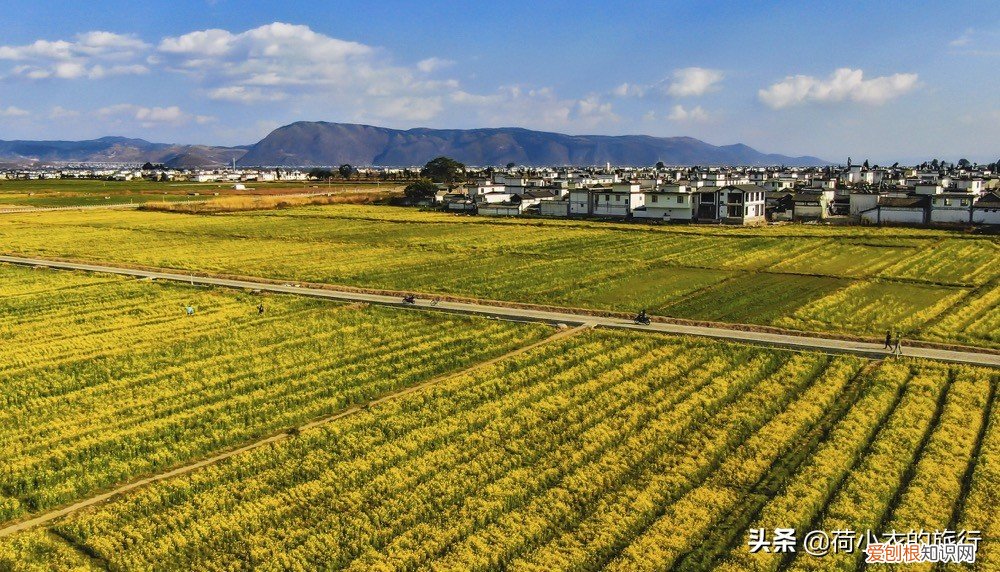 这3座城市风景宜人，适合度假养老 旅游最适合的城市
