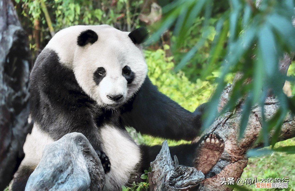 这3座城市风景宜人，适合度假养老 旅游最适合的城市