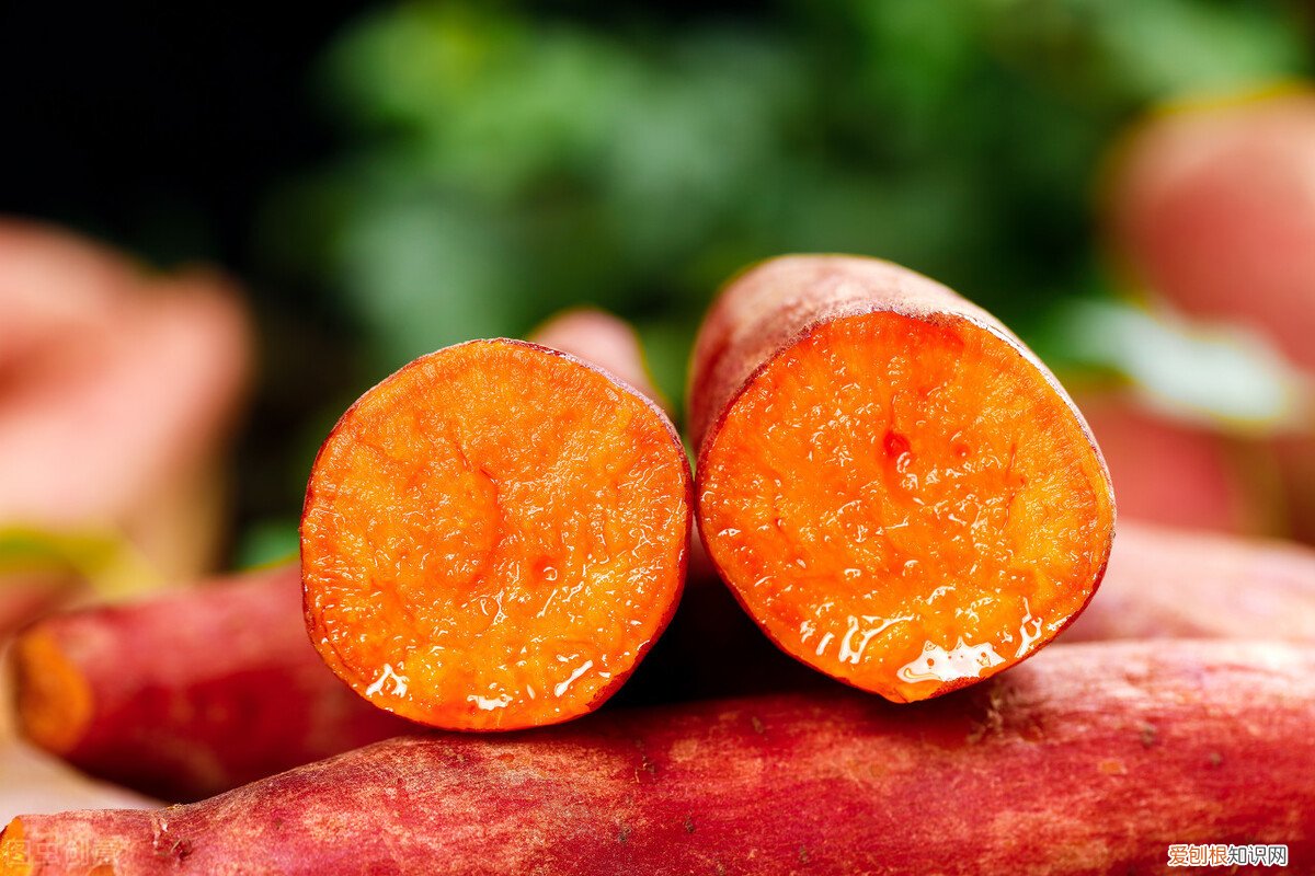 红薯吃了发胖还是减肥？看看营养师怎么讲