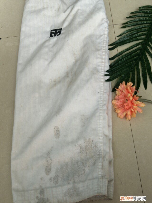 衣服发霉用什么洗掉霉斑？这样操作轻松解决霉斑