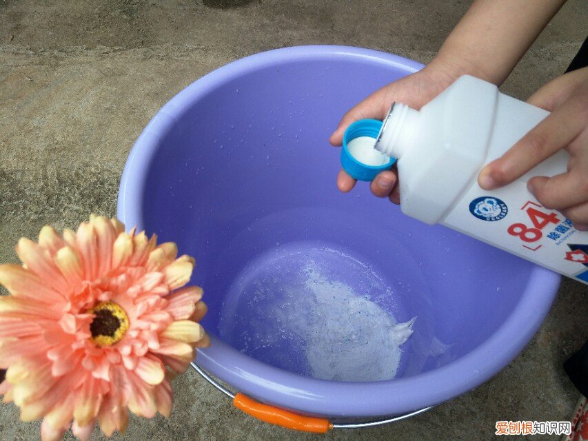 衣服发霉用什么洗掉霉斑？这样操作轻松解决霉斑