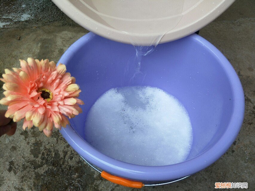 衣服发霉用什么洗掉霉斑？这样操作轻松解决霉斑