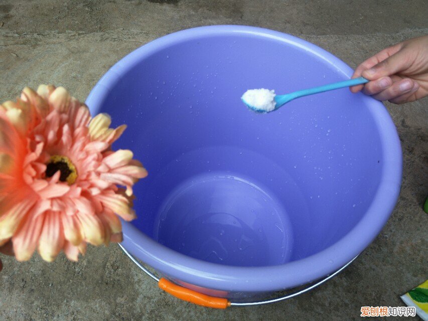 衣服发霉用什么洗掉霉斑？这样操作轻松解决霉斑